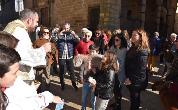 Celebración de San Antón con misa, procesión y bendición de los animales