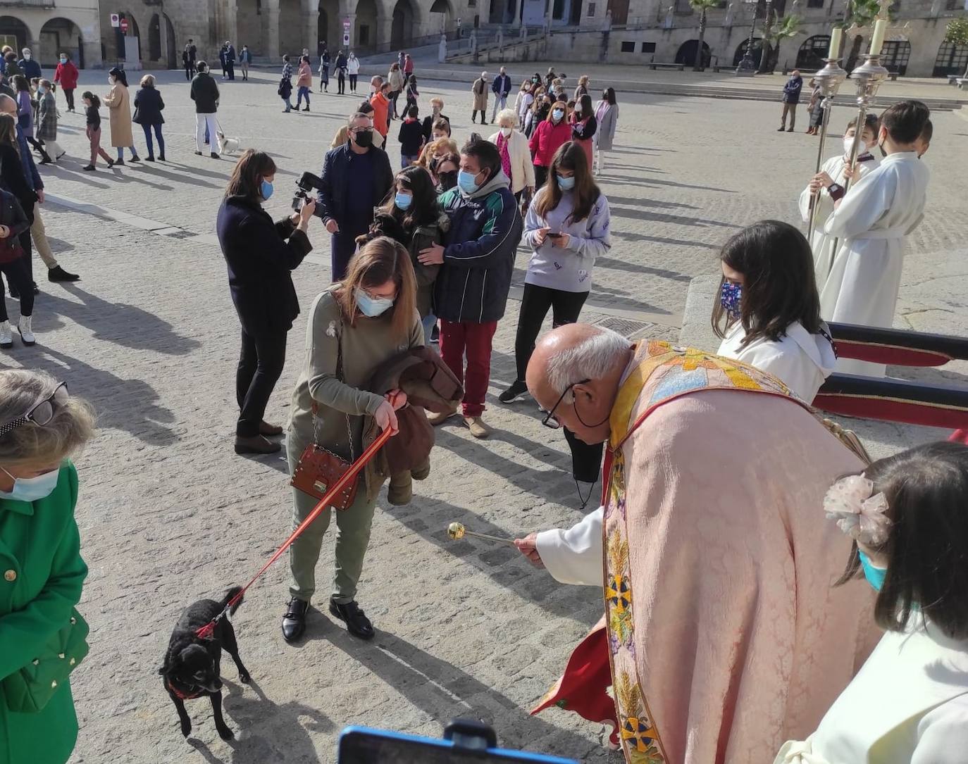 Decenas de animales participan en la celebración de San Antón
