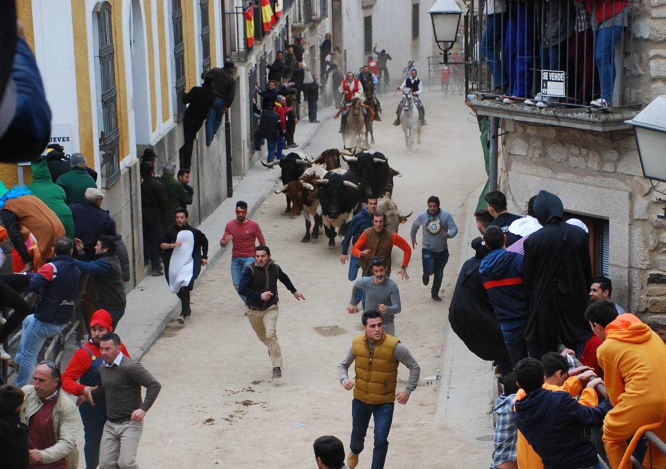 Cuatro ganaderías participarán en los festejos taurinos de los Carnavales