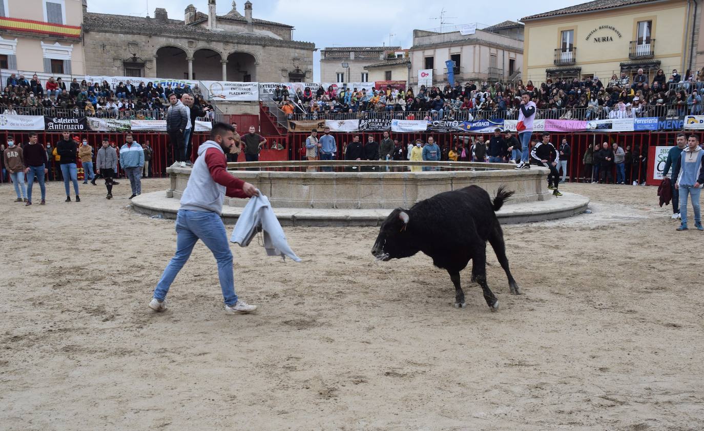 Cientos de personas se echan a la calle para disfrutar de una jornada de capea y encierros