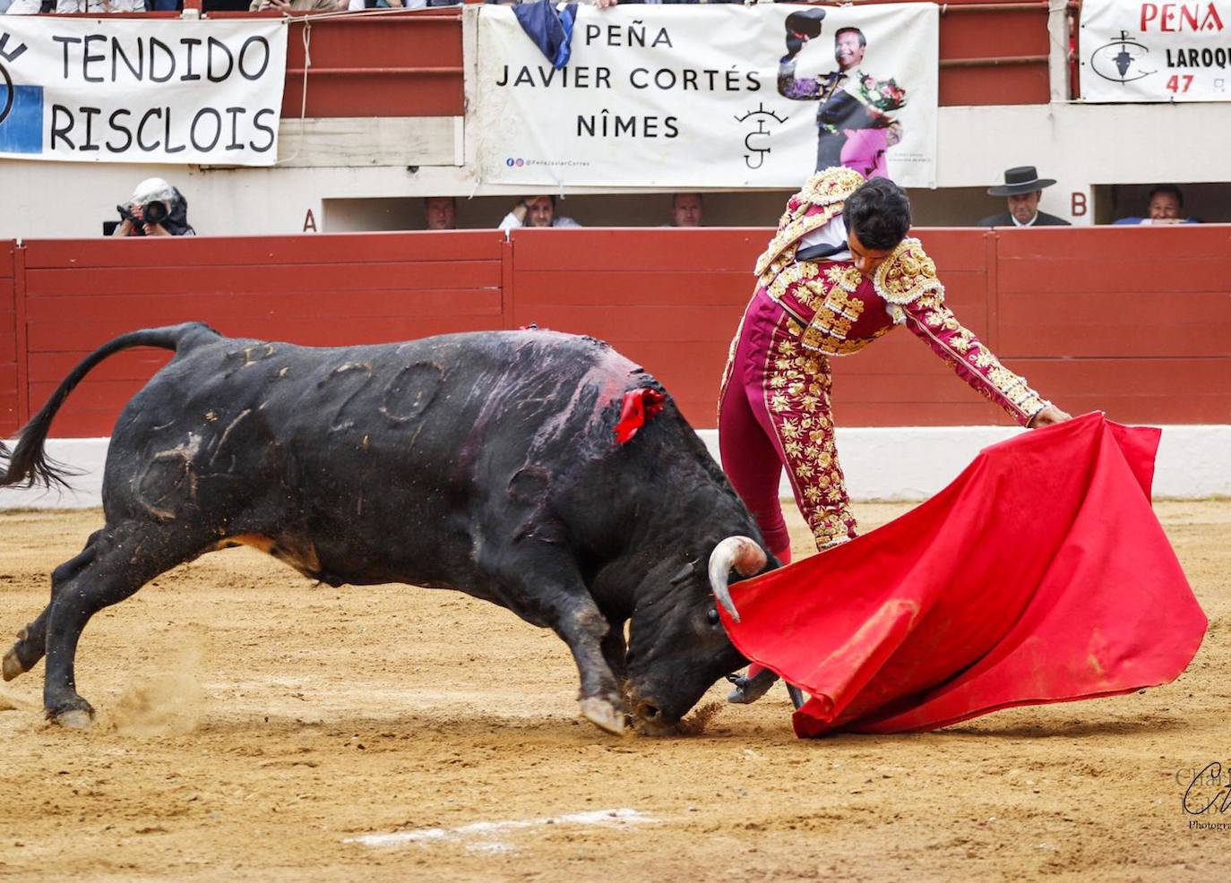 El novillero José Rojo volverá a torear en Las Ventas esta noche