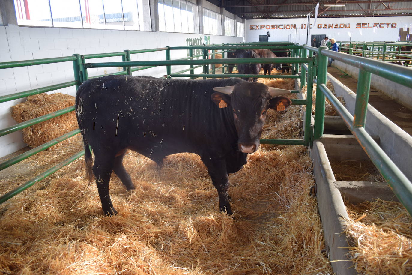 La Feria Agroganadera vuelve a contar con una ayuda de 85.000 euros