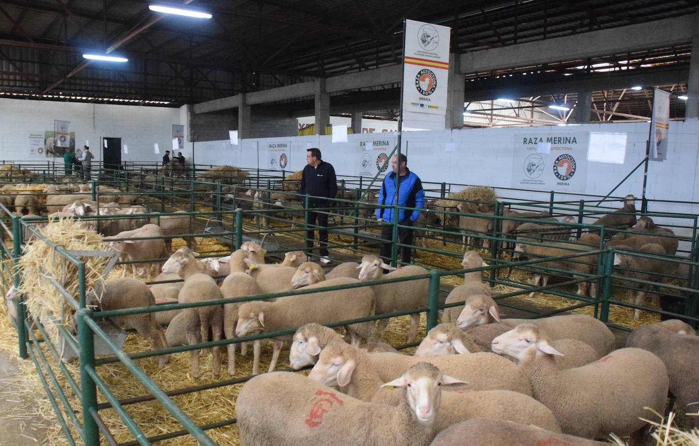 Los dirigentes aseguran que la feria es una apuesta por el mundo del campo