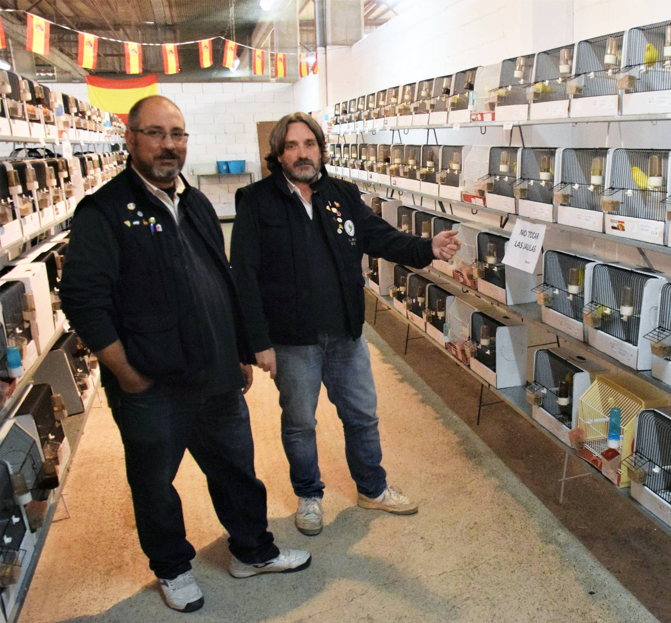 Más de 700 canarios llenan estos días la nave aviar en la feria