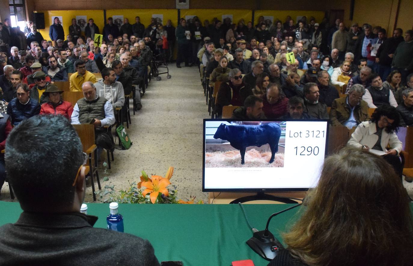 La Agroganadera cierra sus puertas con una gran aceptación en las subastas