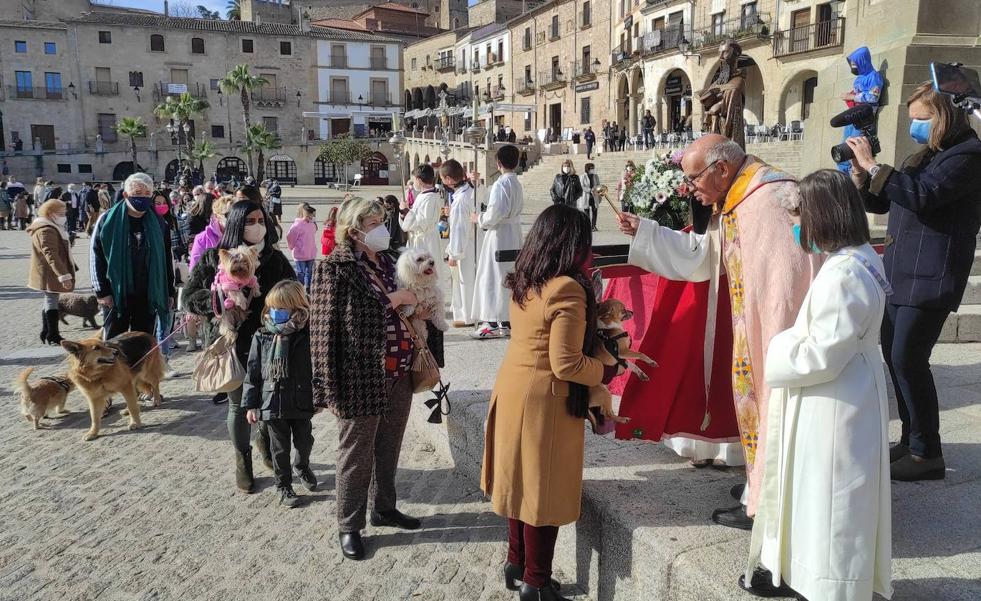 Celebración de San Antón el 22 de enero y de la aparición de la Virgen, el 29