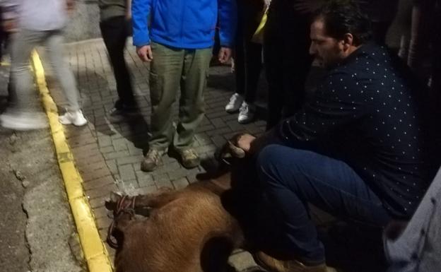 Olivenza con la Feria el Toro y Valverde con la de la Cabra