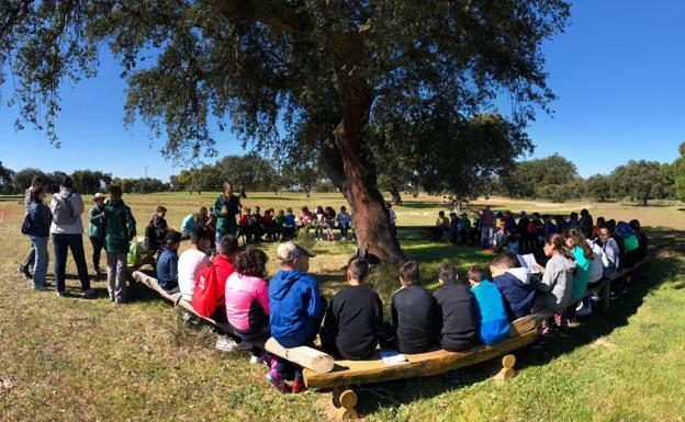Los escolares visitan la Finca de la Cocosa
