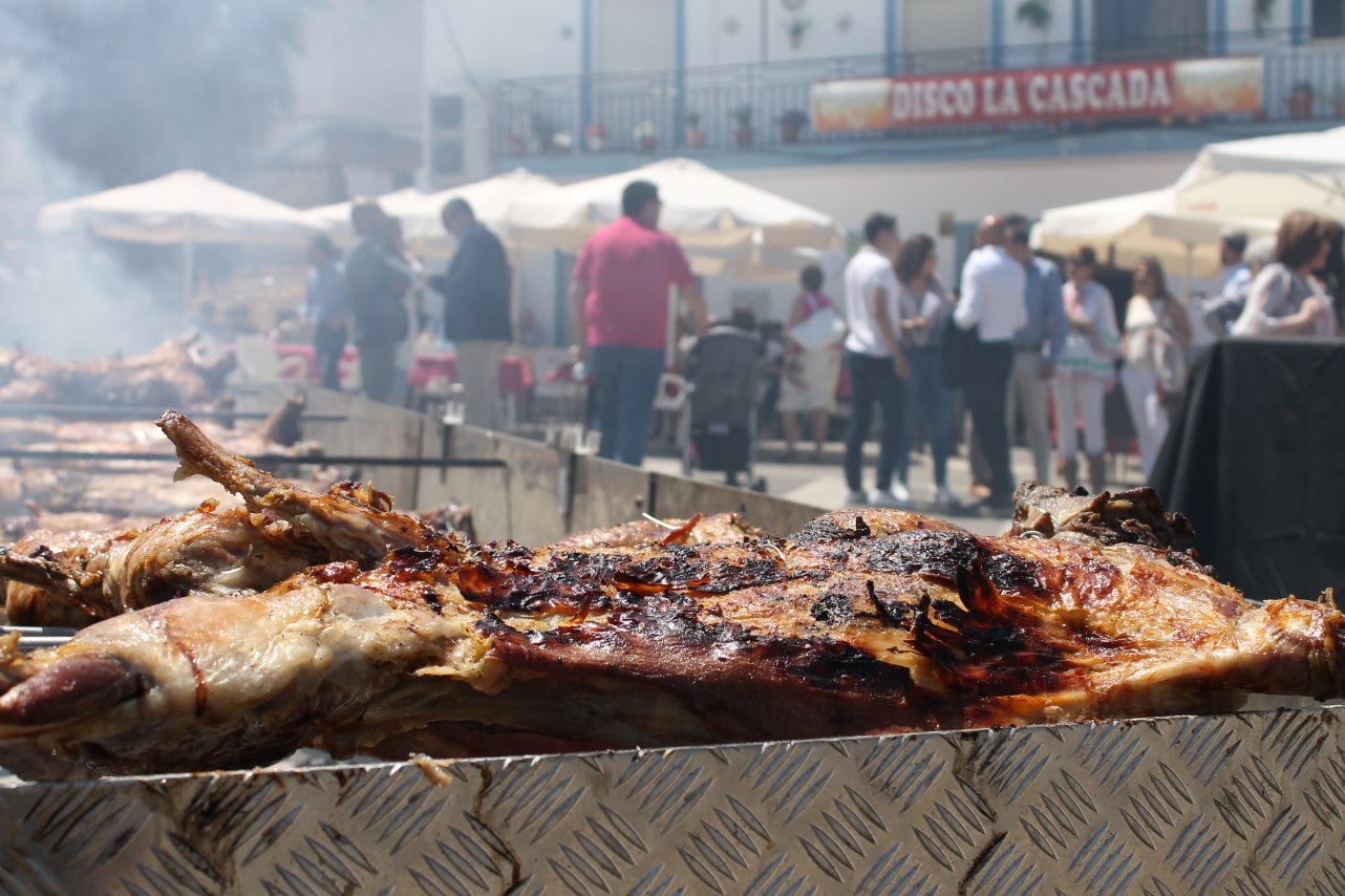 Imágenes de las actividades del sábado de la Trashumancia