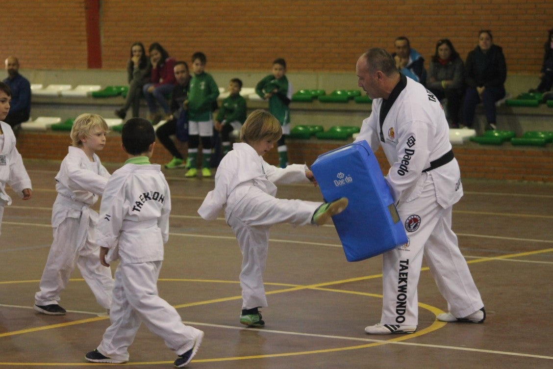 Sportoys: Deporte Solidario (II)