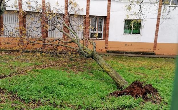 La borrasca Elsa deja daños en Valverde de Leganés