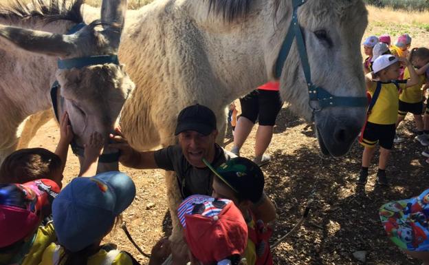 El Rebellao recibe diez nuevas burras para ayudar en las visitas a la finca