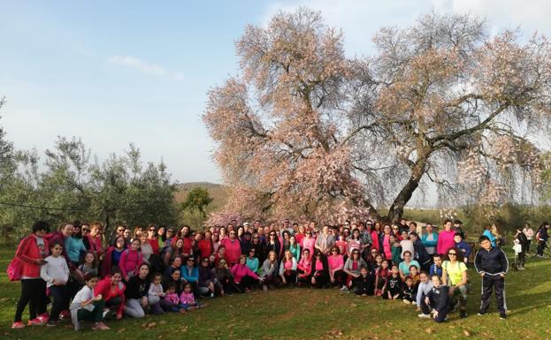 Unas 150 personas participan en la ruta al Almendro Real