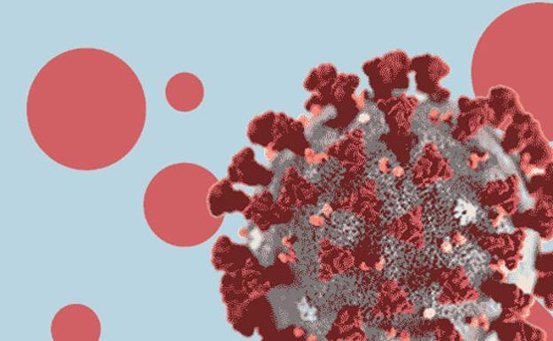 Recibe en tu correo electrónico todas las novedades sobre el coronavirus