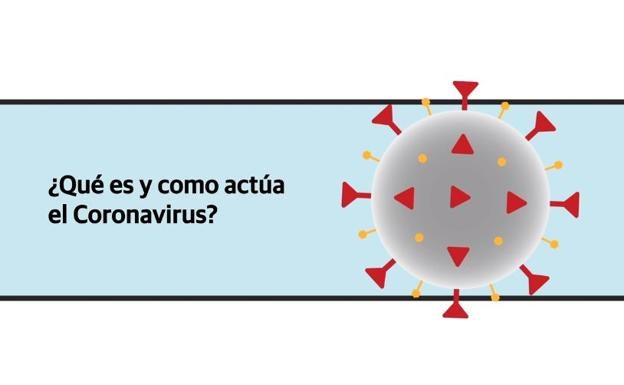 ¿Qué es y cómo actúa el coronavirus?