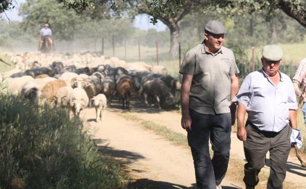 Se cancelan los eventos más próximos en Valverde