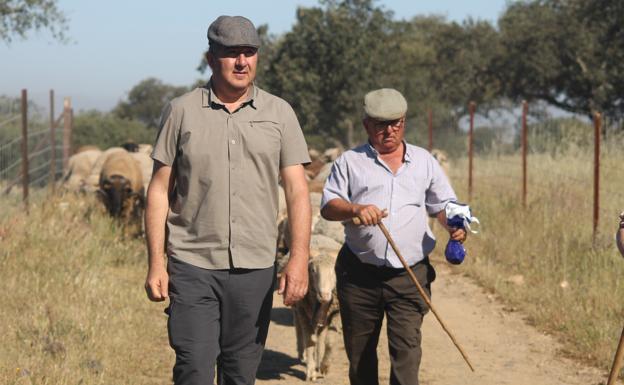 Volverán las esquilas a Valverde