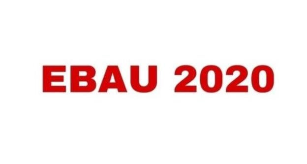 Instrucciones para la EBAU 2020
