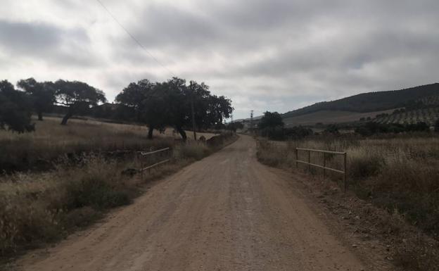 Un mastín ataca a un vecino