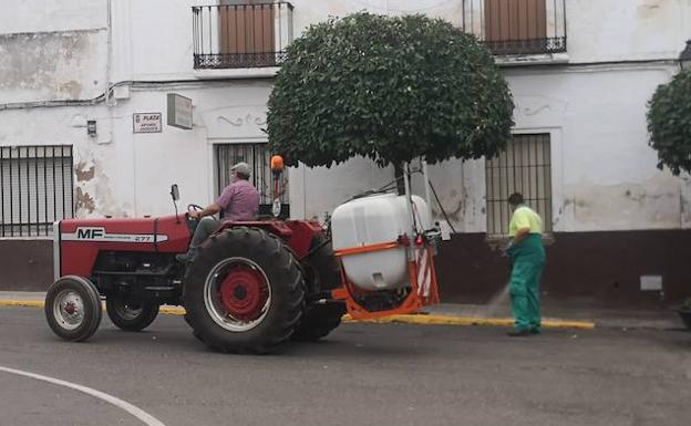Continúa la desinfección de la vía pública