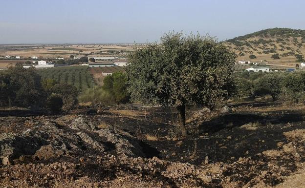Se adecuará el Cerro de los Mártires para evitar incendios