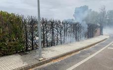 Se quema el seto del lateral en la entrada de Badajoz