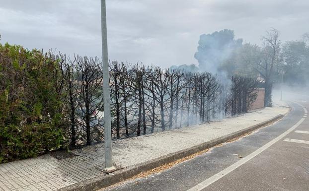 Se quema el seto del lateral en la entrada de Badajoz