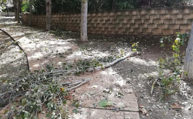 Las lluvias del martes dejan 57 litros en Valverde