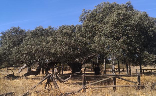Este sábado hay una ruta por el entorno de 'Los Arcos'