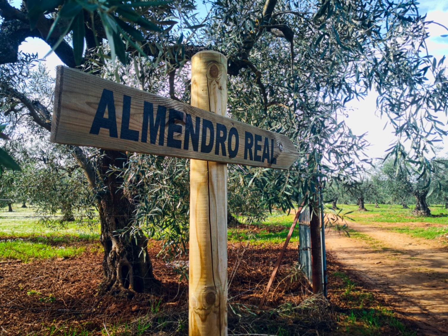 Almendro Real
