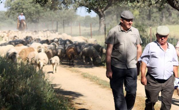 La pandemia no detiene los caminos trashumantes