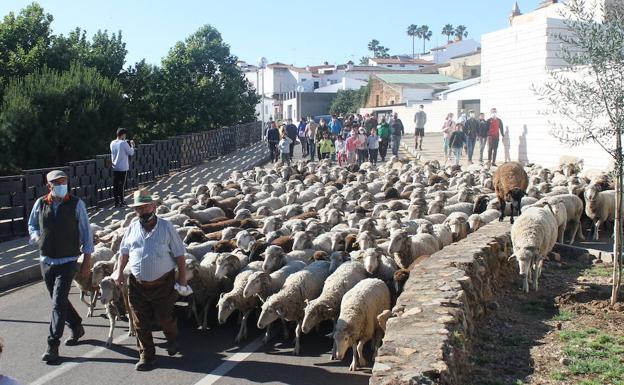Una 'Vive la Trashumancia' condicionada por la pandemia