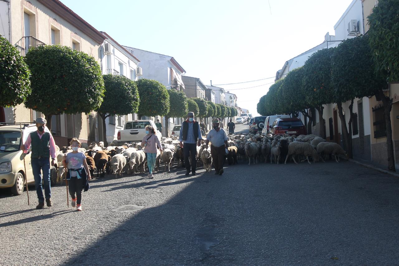 X 'Vive la Trashumancia' (III)
