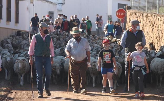 Imágenes de la X Edición 'Vive la Trashumancia'