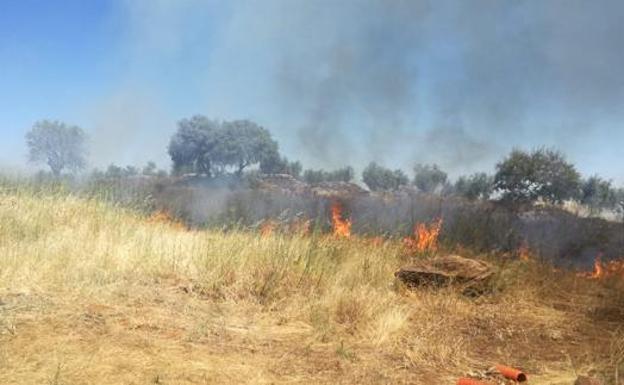 Desde hoy está prohibido hacer fuego en el campo