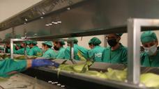 Inauguración de Artealca Corn (II)