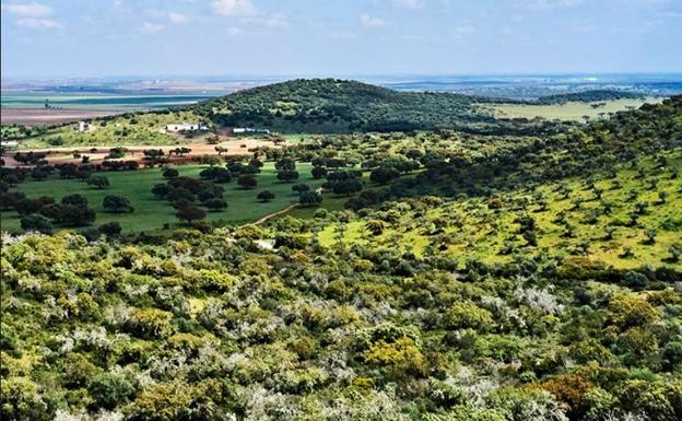 La Fundación Dolores Bas de Arus crea un catálogo de actividades para disfrutar de El Rebellao