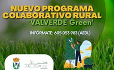 El nuevo proyecto de formación para desempleados: 'Valverde Green'