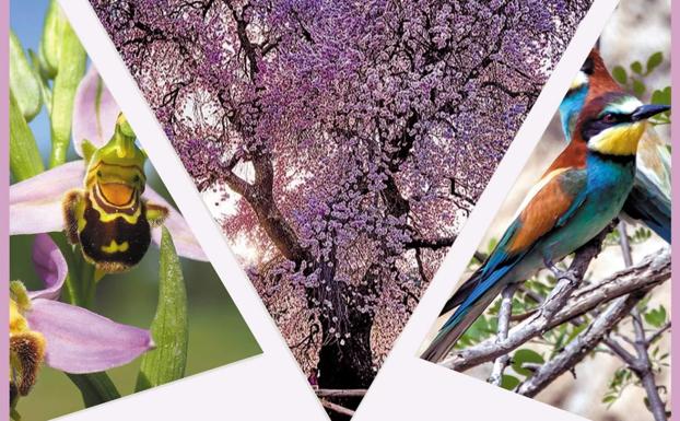 Se organizan varias rutas para disfrutar de la naturaleza de Valverde de Leganés