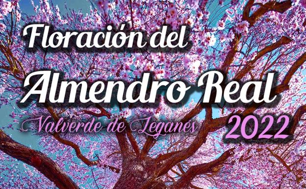 A las 16.00 horas, nueva ruta al Almendro Real