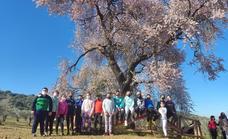 Los escolares de Valverde también visitan el Almendro Real