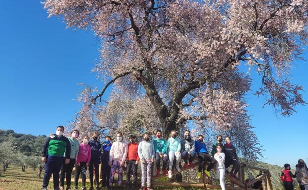 Los escolares de Valverde también visitan el Almendro Real