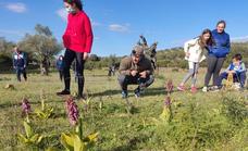 Celebrada la ruta para contemplar las orquídeas silvestres