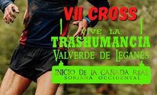 Abiertas las inscripciones para el VII Cross 'Vive la Trashumancia' que se celebrará el próximo 15 de mayo