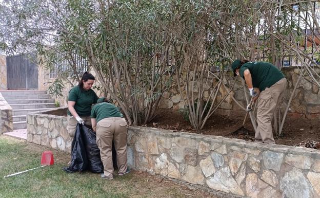 El programa Colaborativo Rural 'Valverde Green', avanza en sus trabajos de acondicionamiento y embellecimiento de las zonas verdes de Valverde