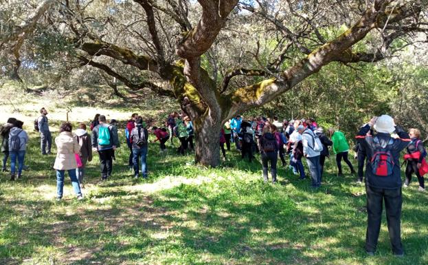 Unas 70 personas disfrutan de la II Ruta de las 'Orquídeas silvestres'