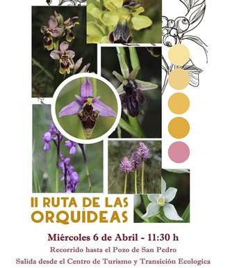 Este miércoles, nueva ruta para la observación de las orquídeas silvestres