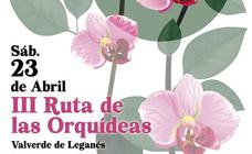 Este sábado 23 de abril se celebra la III 'Ruta de las orquídeas silvestres'