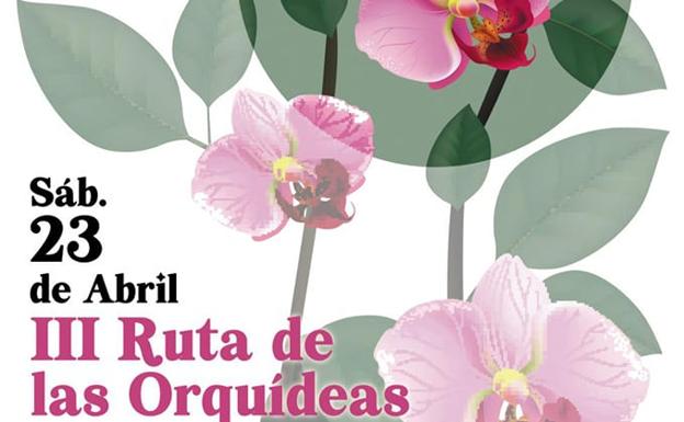 Este sábado 23 de abril se celebra la III 'Ruta de las orquídeas silvestres'