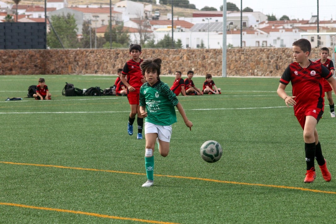 Alevines B EMD Valverde – AD Hispanolusa